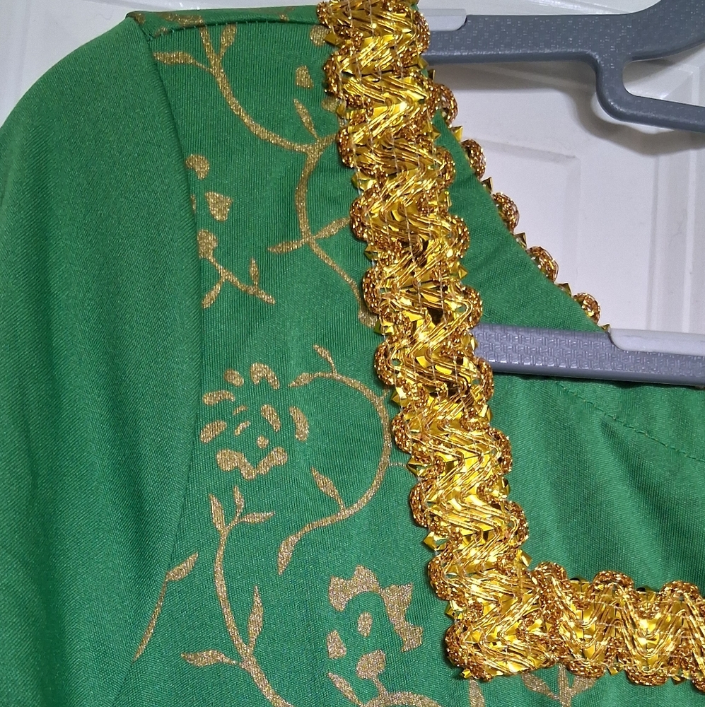 PRINCESS FIONA Elegant Dress Shrek Halloween Costume NWT - Picture 4 of 5